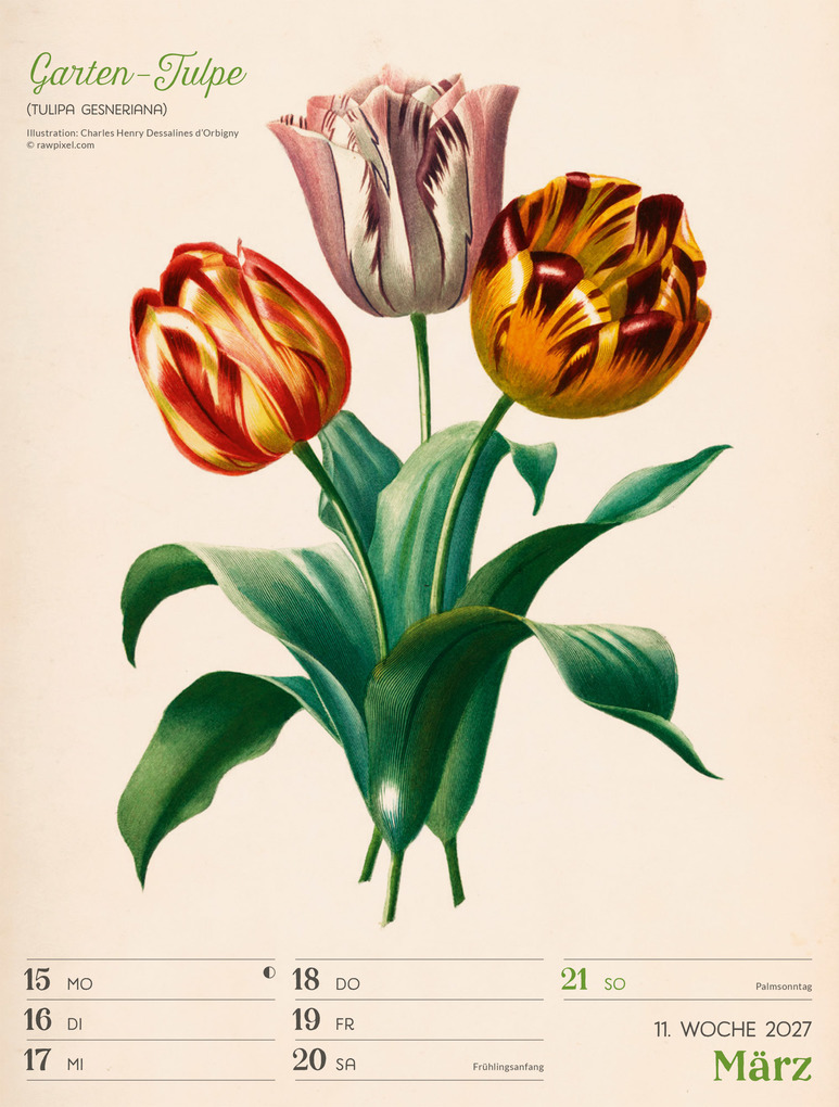 Weitere Ansicht: Ars Floralis Wochenplaner Kalender 2027 | Ackermann Kunstverlag GmbH