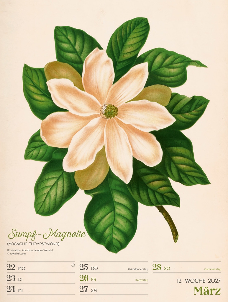 Weitere Ansicht: Ars Floralis Wochenplaner Kalender 2027 | Ackermann Kunstverlag GmbH