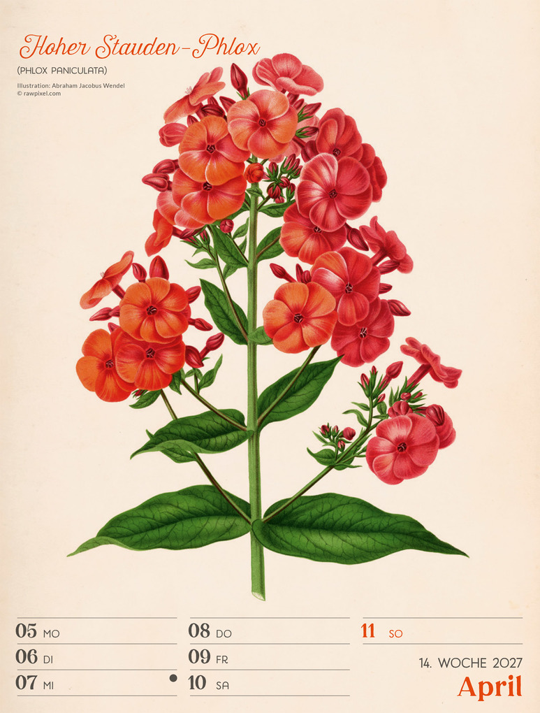 Weitere Ansicht: Ars Floralis Wochenplaner Kalender 2027 | Ackermann Kunstverlag GmbH