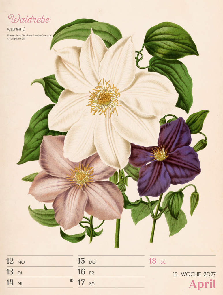 Weitere Ansicht: Ars Floralis Wochenplaner Kalender 2027 | Ackermann Kunstverlag GmbH