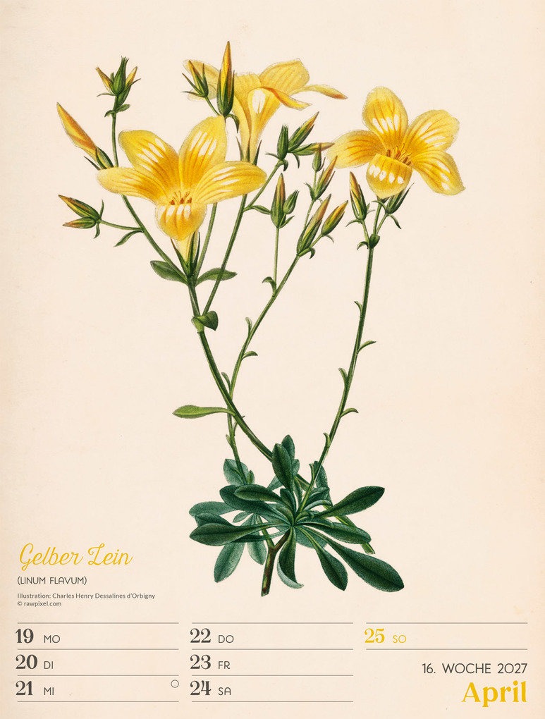 Weitere Ansicht: Ars Floralis Wochenplaner Kalender 2027 | Ackermann Kunstverlag GmbH