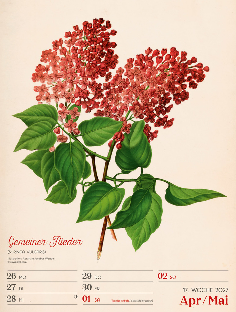 Weitere Ansicht: Ars Floralis Wochenplaner Kalender 2027 | Ackermann Kunstverlag GmbH
