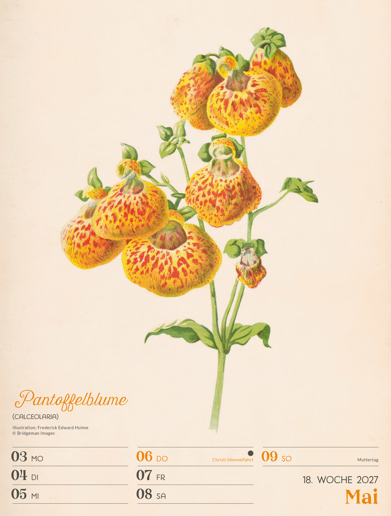 Weitere Ansicht: Ars Floralis Wochenplaner Kalender 2027 | Ackermann Kunstverlag GmbH
