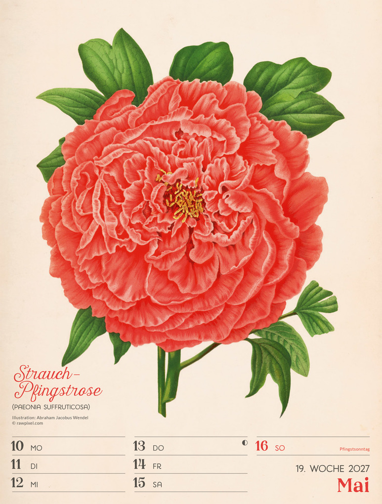 Weitere Ansicht: Ars Floralis Wochenplaner Kalender 2027 | Ackermann Kunstverlag GmbH