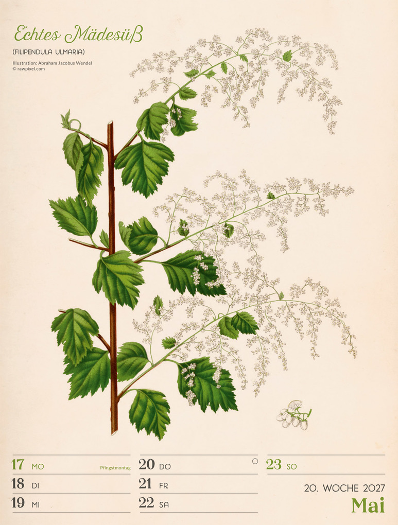 Weitere Ansicht: Ars Floralis Wochenplaner Kalender 2027 | Ackermann Kunstverlag GmbH