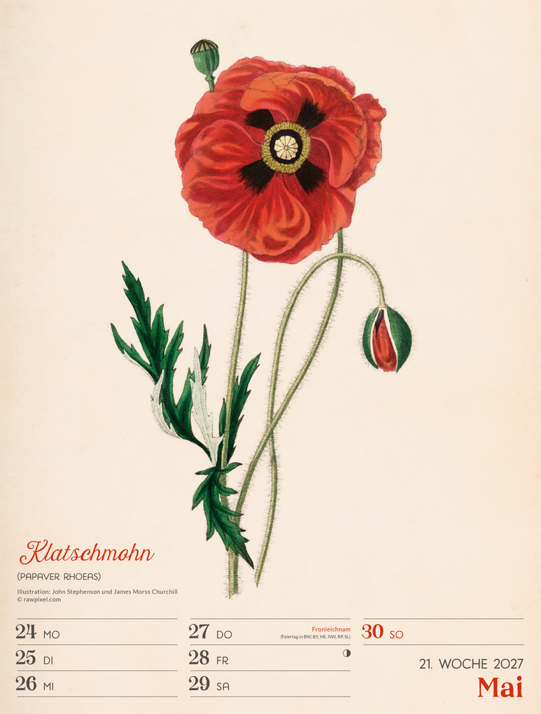 Weitere Ansicht: Ars Floralis Wochenplaner Kalender 2027 | Ackermann Kunstverlag GmbH