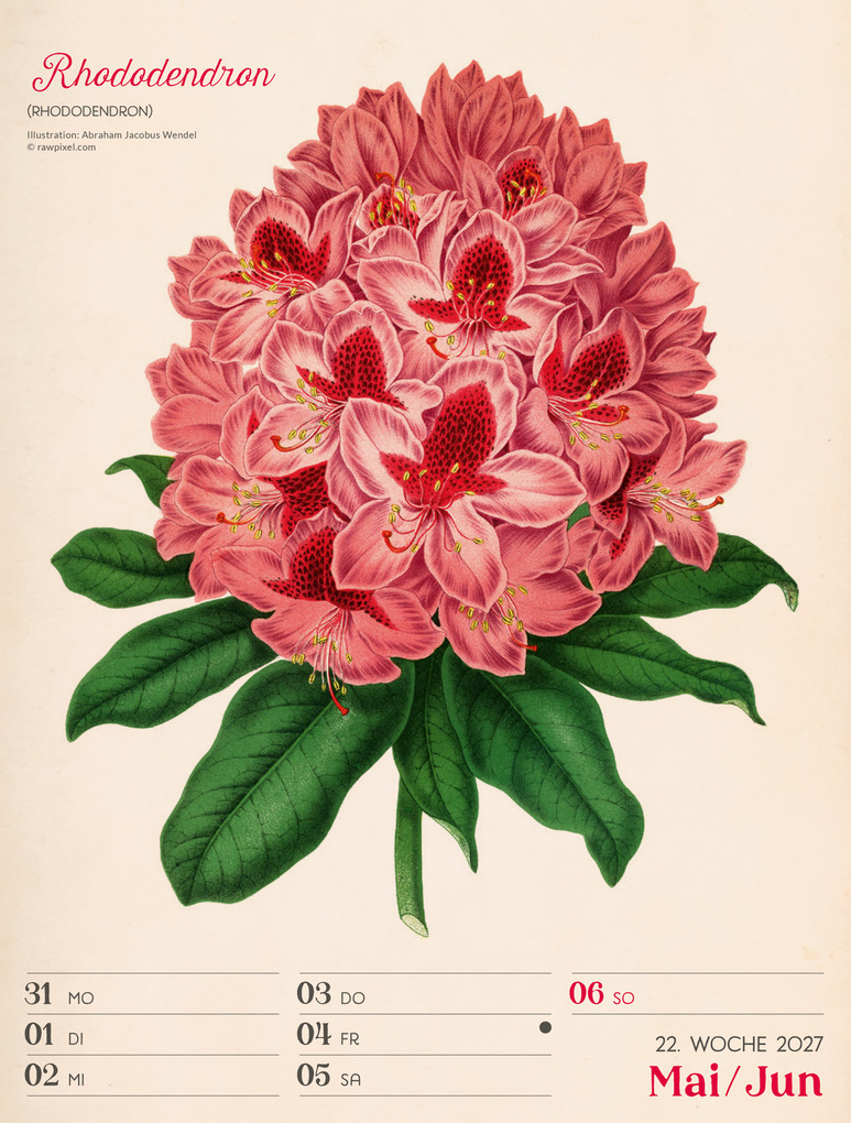 Weitere Ansicht: Ars Floralis Wochenplaner Kalender 2027 | Ackermann Kunstverlag GmbH