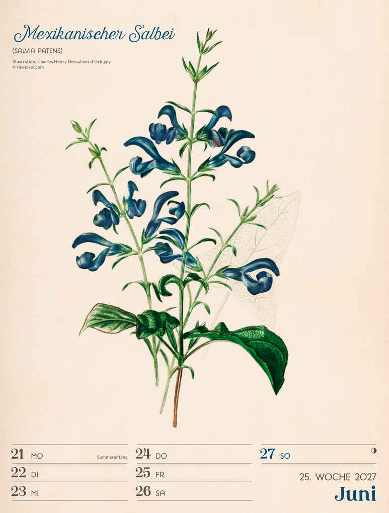 Weitere Ansicht: Ars Floralis Wochenplaner Kalender 2027 | Ackermann Kunstverlag GmbH