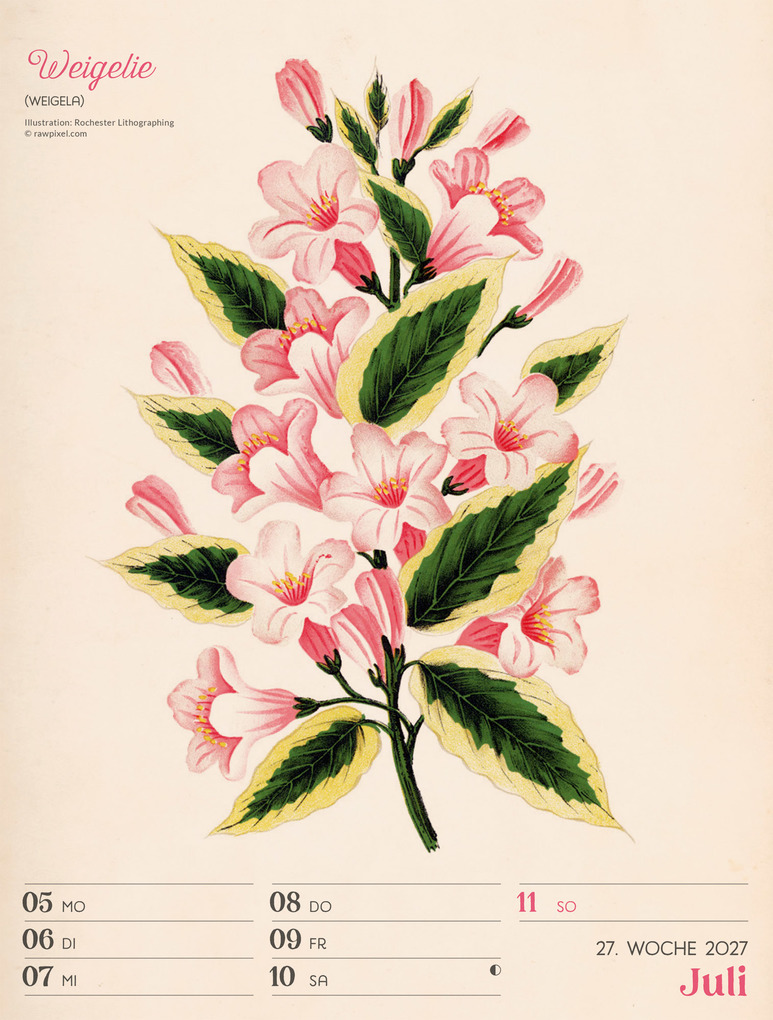 Weitere Ansicht: Ars Floralis Wochenplaner Kalender 2027 | Ackermann Kunstverlag GmbH