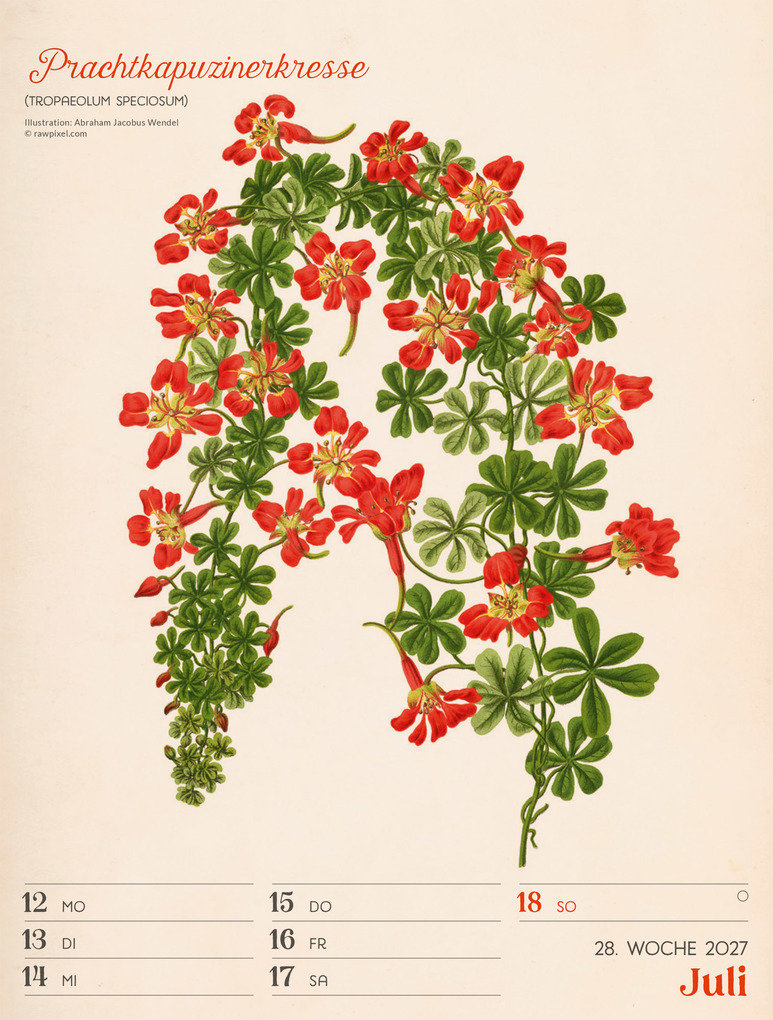 Weitere Ansicht: Ars Floralis Wochenplaner Kalender 2027 | Ackermann Kunstverlag GmbH