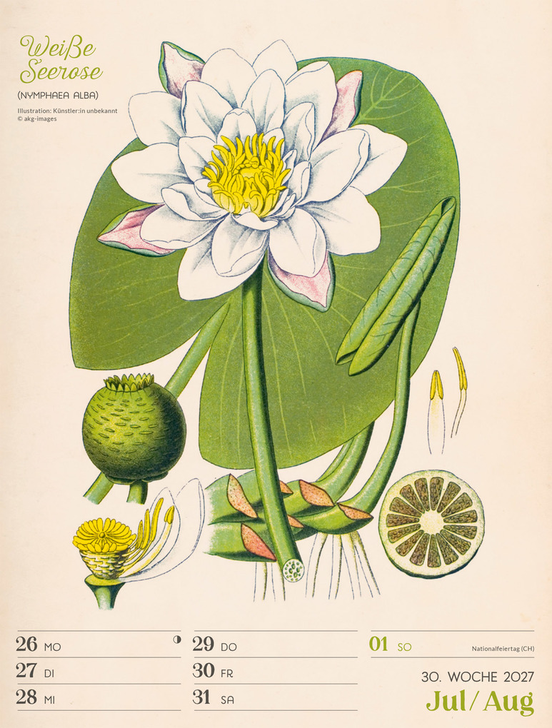 Weitere Ansicht: Ars Floralis Wochenplaner Kalender 2027 | Ackermann Kunstverlag GmbH