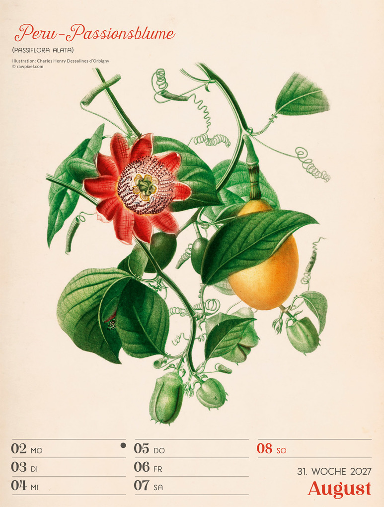 Weitere Ansicht: Ars Floralis Wochenplaner Kalender 2027 | Ackermann Kunstverlag GmbH