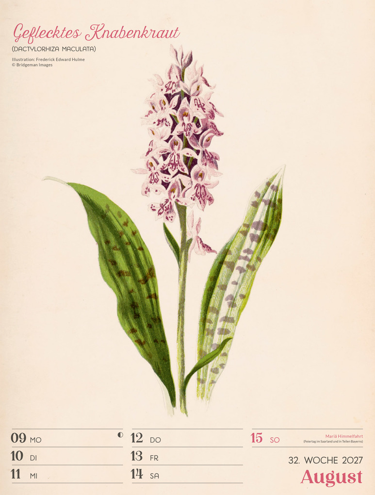 Weitere Ansicht: Ars Floralis Wochenplaner Kalender 2027 | Ackermann Kunstverlag GmbH