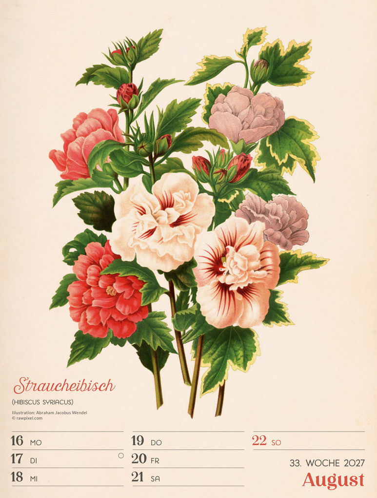 Weitere Ansicht: Ars Floralis Wochenplaner Kalender 2027 | Ackermann Kunstverlag GmbH