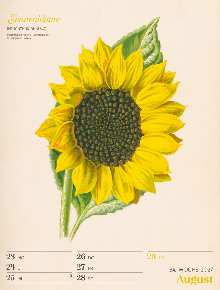 Weitere Ansicht: Ars Floralis Wochenplaner Kalender 2027 | Ackermann Kunstverlag GmbH