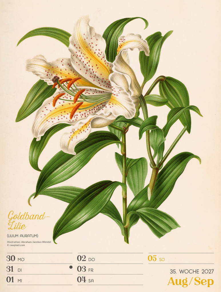 Weitere Ansicht: Ars Floralis Wochenplaner Kalender 2027 | Ackermann Kunstverlag GmbH