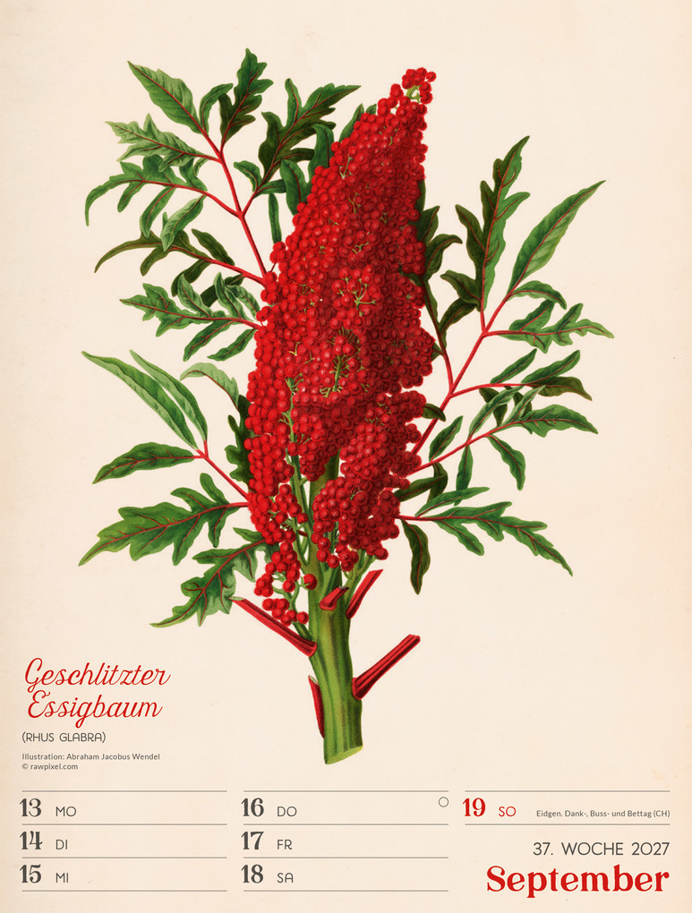 Weitere Ansicht: Ars Floralis Wochenplaner Kalender 2027 | Ackermann Kunstverlag GmbH