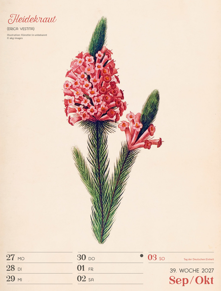 Weitere Ansicht: Ars Floralis Wochenplaner Kalender 2027 | Ackermann Kunstverlag GmbH