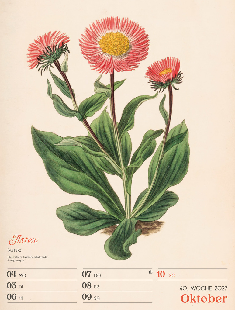 Weitere Ansicht: Ars Floralis Wochenplaner Kalender 2027 | Ackermann Kunstverlag GmbH
