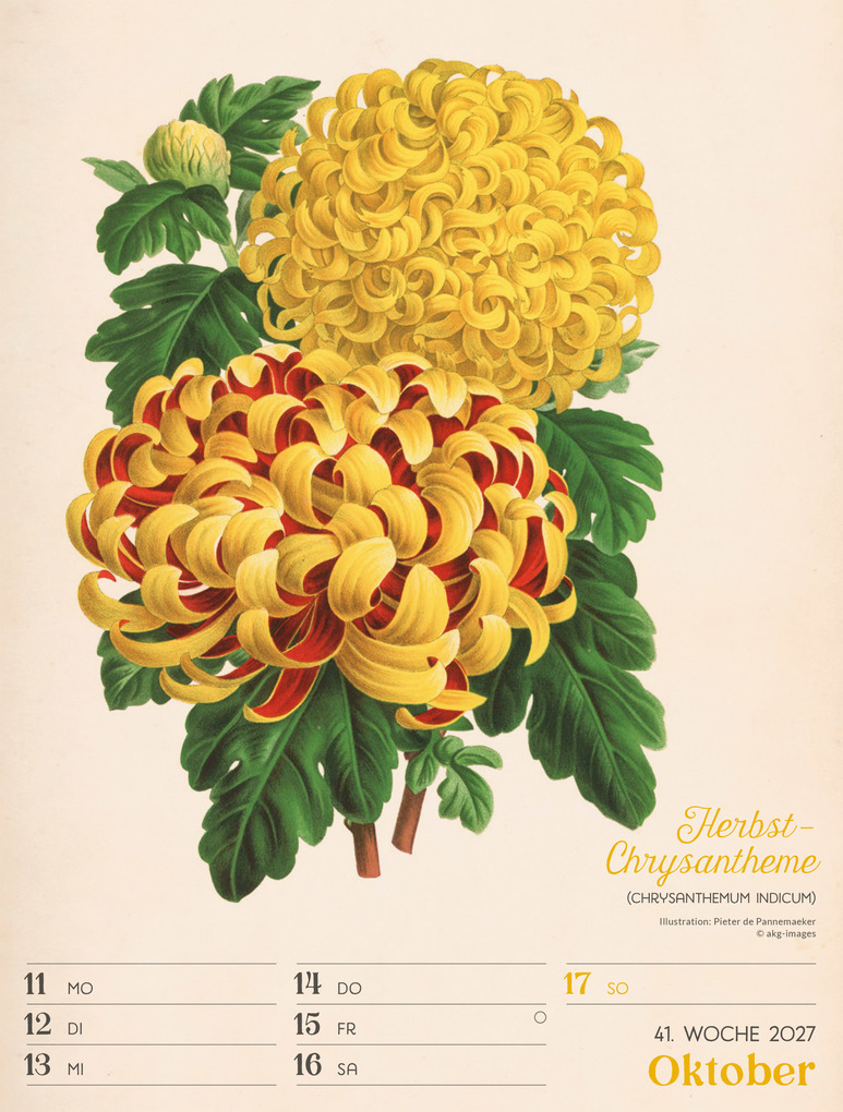 Weitere Ansicht: Ars Floralis Wochenplaner Kalender 2027 | Ackermann Kunstverlag GmbH