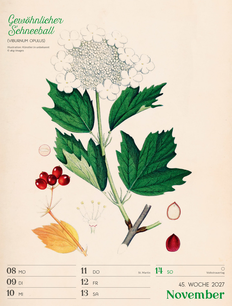 Weitere Ansicht: Ars Floralis Wochenplaner Kalender 2027 | Ackermann Kunstverlag GmbH