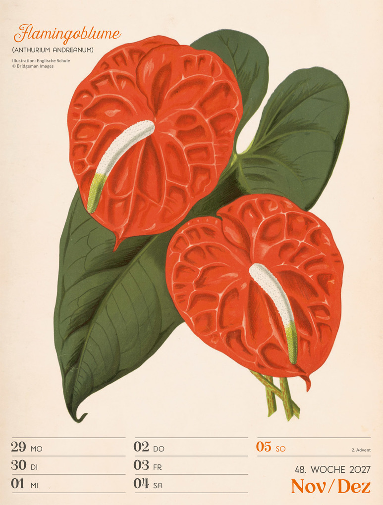 Weitere Ansicht: Ars Floralis Wochenplaner Kalender 2027 | Ackermann Kunstverlag GmbH