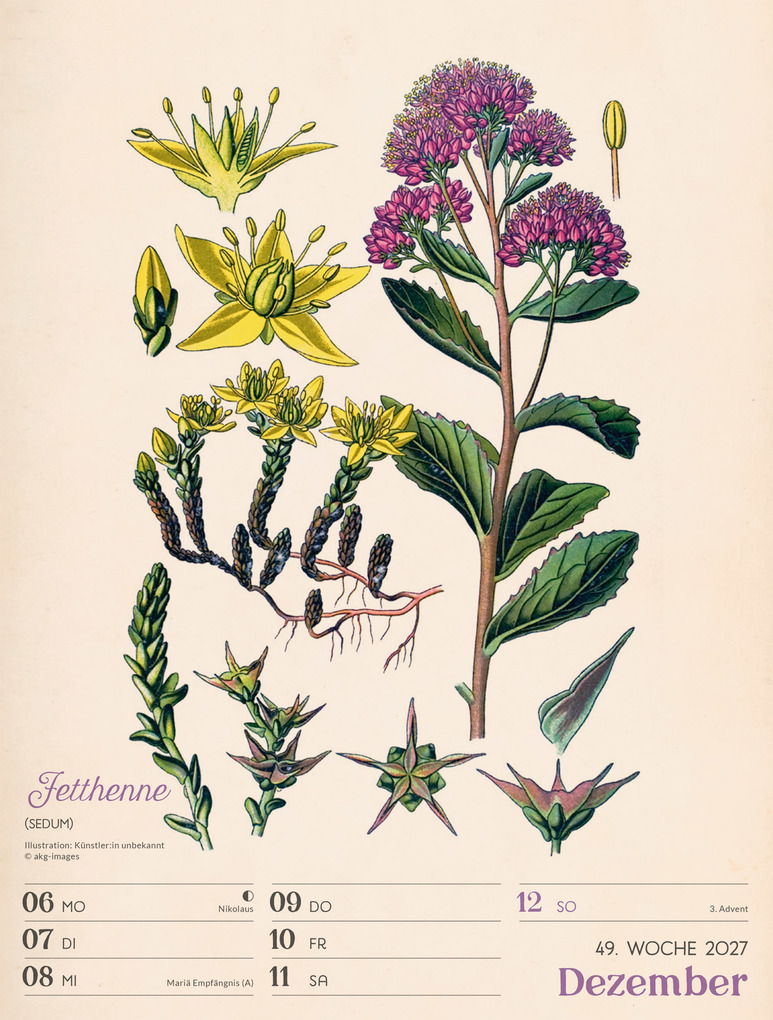 Weitere Ansicht: Ars Floralis Wochenplaner Kalender 2027 | Ackermann Kunstverlag GmbH