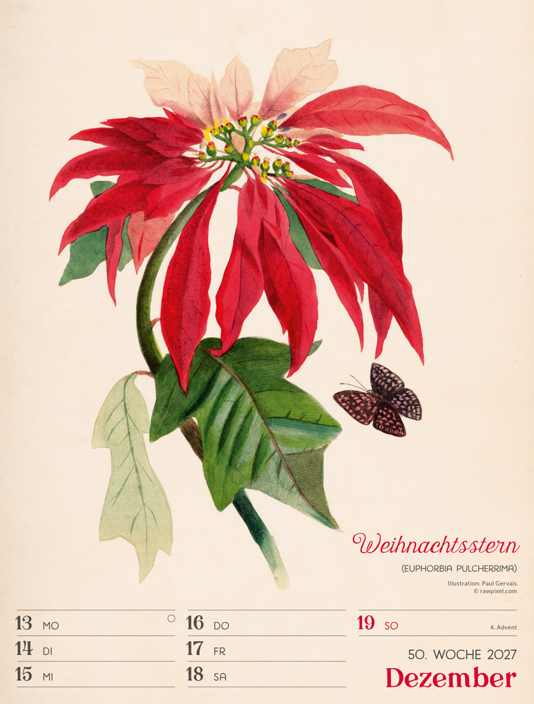 Weitere Ansicht: Ars Floralis Wochenplaner Kalender 2027 | Ackermann Kunstverlag GmbH