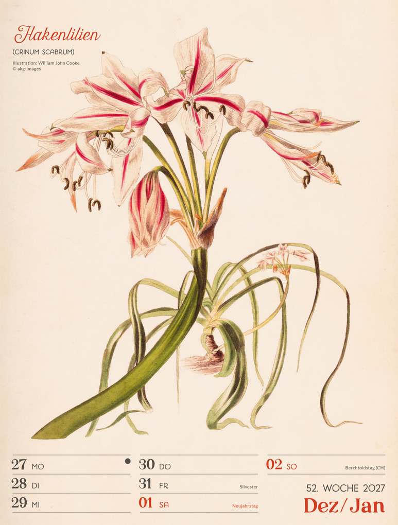 Weitere Ansicht: Ars Floralis Wochenplaner Kalender 2027 | Ackermann Kunstverlag GmbH