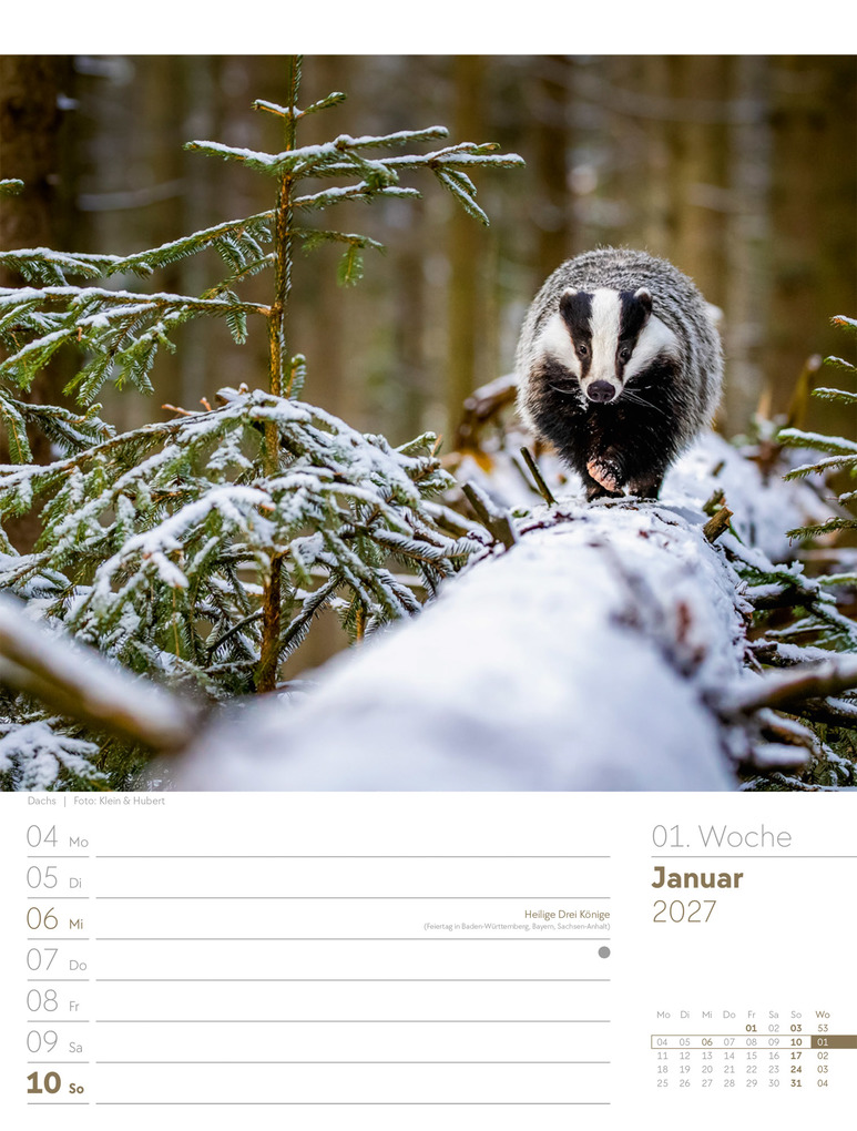 Weitere Ansicht: Unser Wald Wochenplaner Kalender 2027 | Ackermann Kunstverlag GmbH