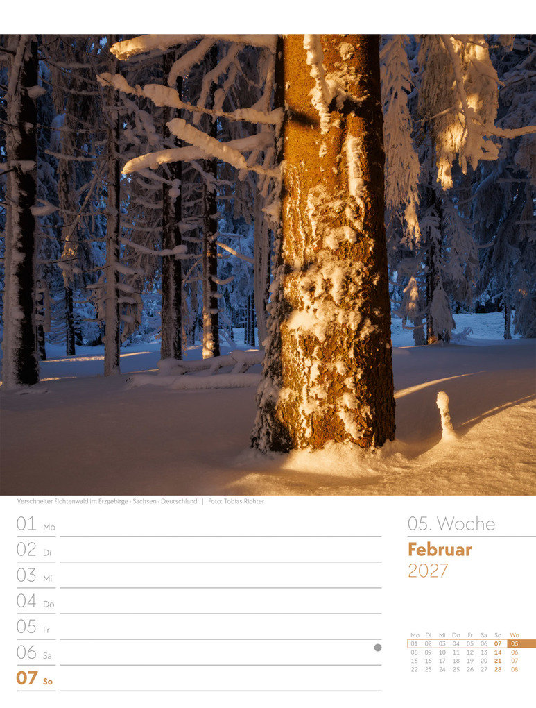 Weitere Ansicht: Unser Wald Wochenplaner Kalender 2027 | Ackermann Kunstverlag GmbH