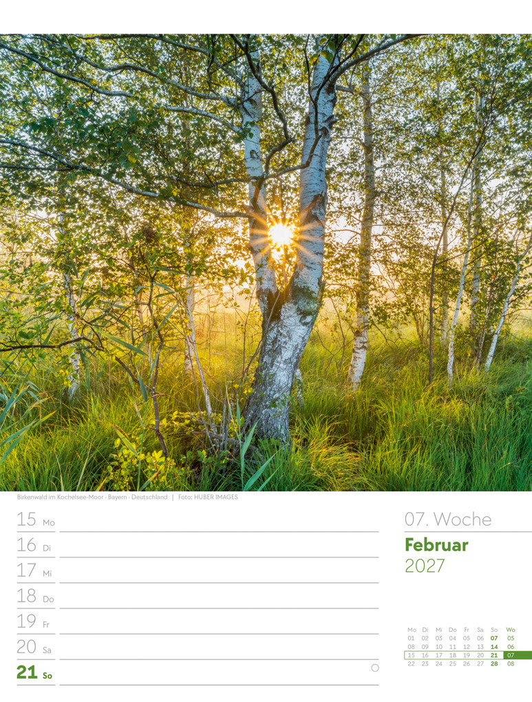 Weitere Ansicht: Unser Wald Wochenplaner Kalender 2027 | Ackermann Kunstverlag GmbH