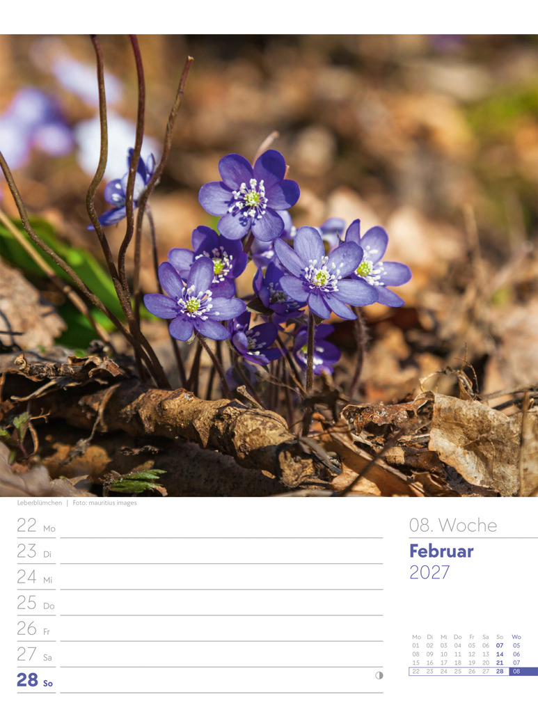 Weitere Ansicht: Unser Wald Wochenplaner Kalender 2027 | Ackermann Kunstverlag GmbH