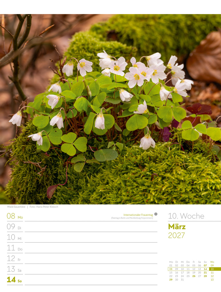 Weitere Ansicht: Unser Wald Wochenplaner Kalender 2027 | Ackermann Kunstverlag GmbH