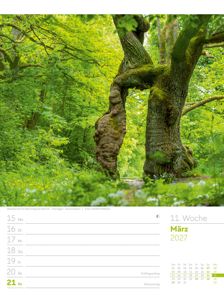 Weitere Ansicht: Unser Wald Wochenplaner Kalender 2027 | Ackermann Kunstverlag GmbH