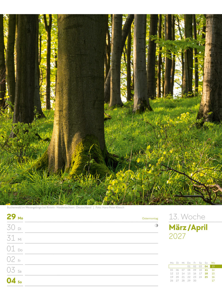 Weitere Ansicht: Unser Wald Wochenplaner Kalender 2027 | Ackermann Kunstverlag GmbH