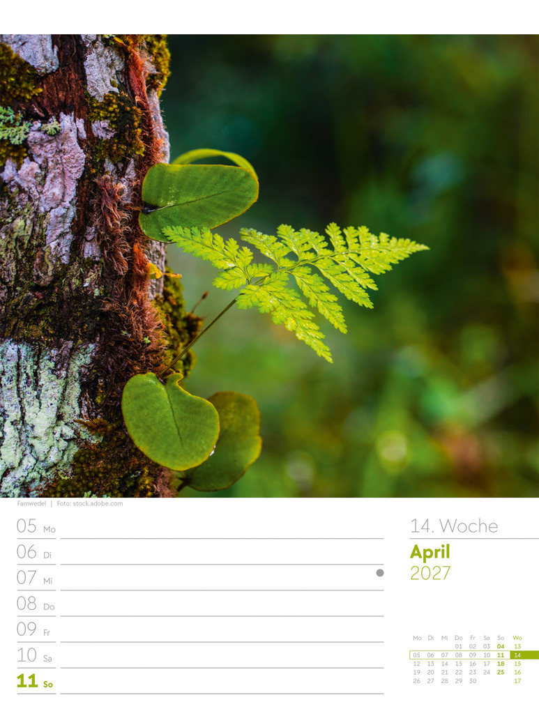 Weitere Ansicht: Unser Wald Wochenplaner Kalender 2027 | Ackermann Kunstverlag GmbH
