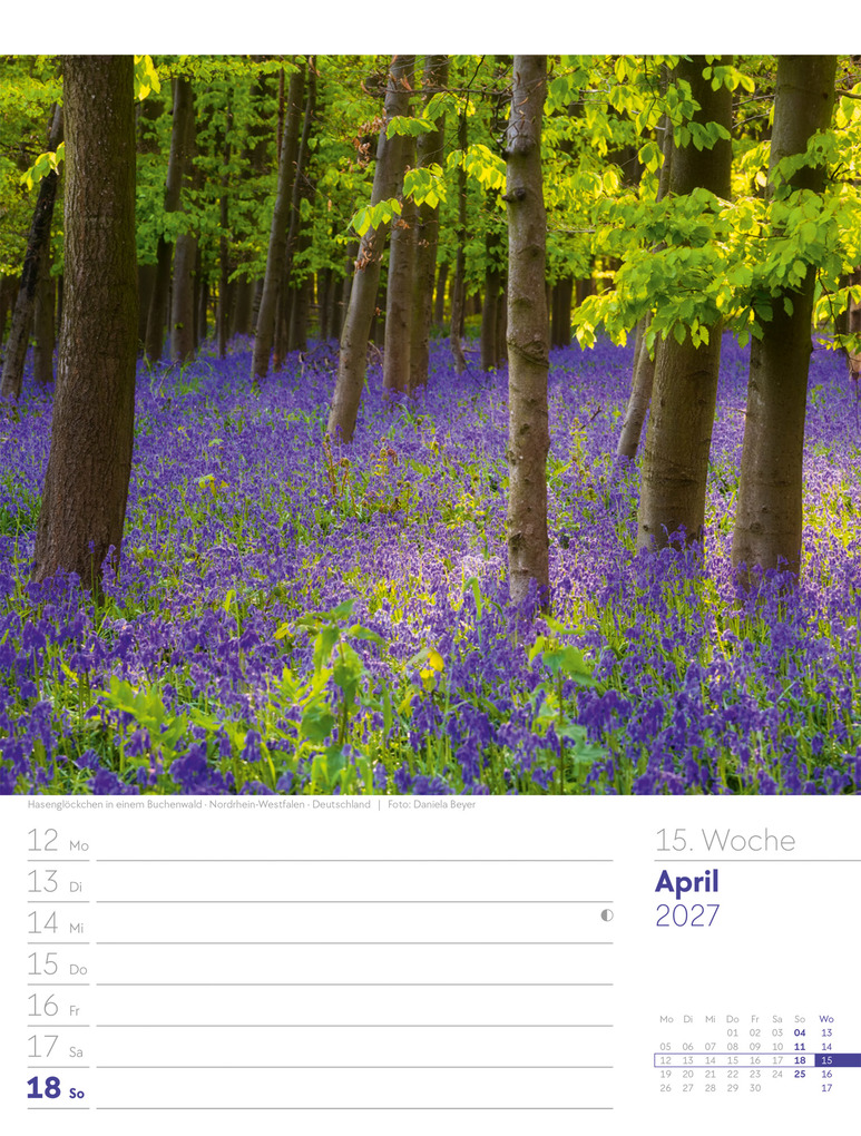 Weitere Ansicht: Unser Wald Wochenplaner Kalender 2027 | Ackermann Kunstverlag GmbH