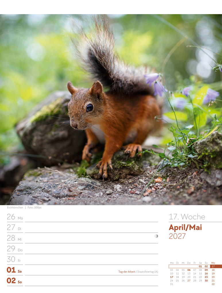 Weitere Ansicht: Unser Wald Wochenplaner Kalender 2027 | Ackermann Kunstverlag GmbH