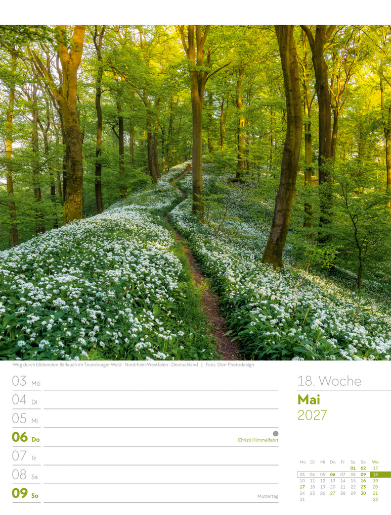 Weitere Ansicht: Unser Wald Wochenplaner Kalender 2027 | Ackermann Kunstverlag GmbH