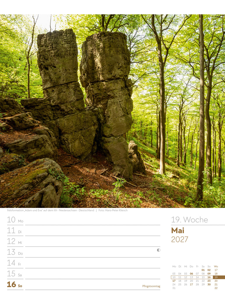 Weitere Ansicht: Unser Wald Wochenplaner Kalender 2027 | Ackermann Kunstverlag GmbH