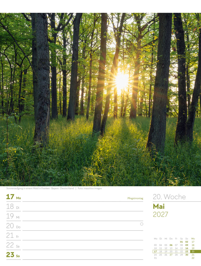 Weitere Ansicht: Unser Wald Wochenplaner Kalender 2027 | Ackermann Kunstverlag GmbH