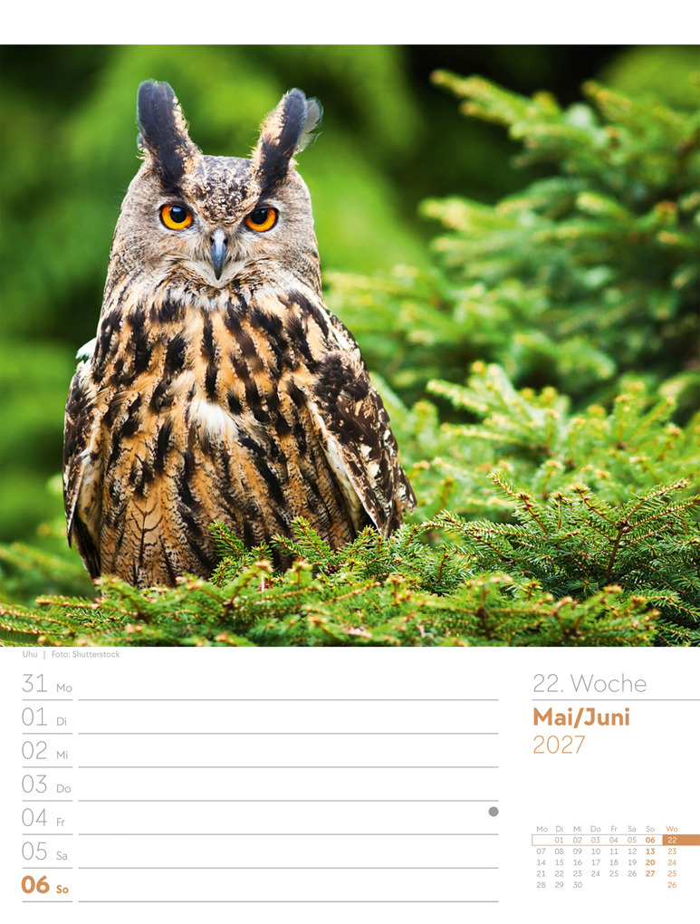 Weitere Ansicht: Unser Wald Wochenplaner Kalender 2027 | Ackermann Kunstverlag GmbH
