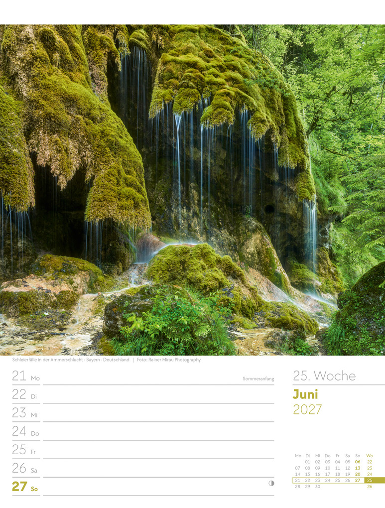 Weitere Ansicht: Unser Wald Wochenplaner Kalender 2027 | Ackermann Kunstverlag GmbH