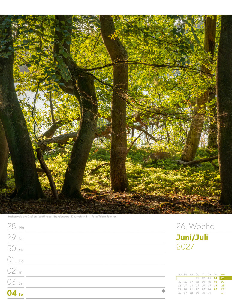 Weitere Ansicht: Unser Wald Wochenplaner Kalender 2027 | Ackermann Kunstverlag GmbH
