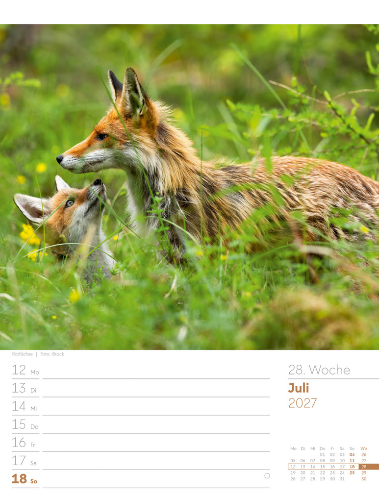 Weitere Ansicht: Unser Wald Wochenplaner Kalender 2027 | Ackermann Kunstverlag GmbH