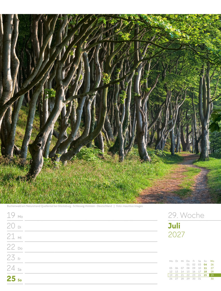 Weitere Ansicht: Unser Wald Wochenplaner Kalender 2027 | Ackermann Kunstverlag GmbH