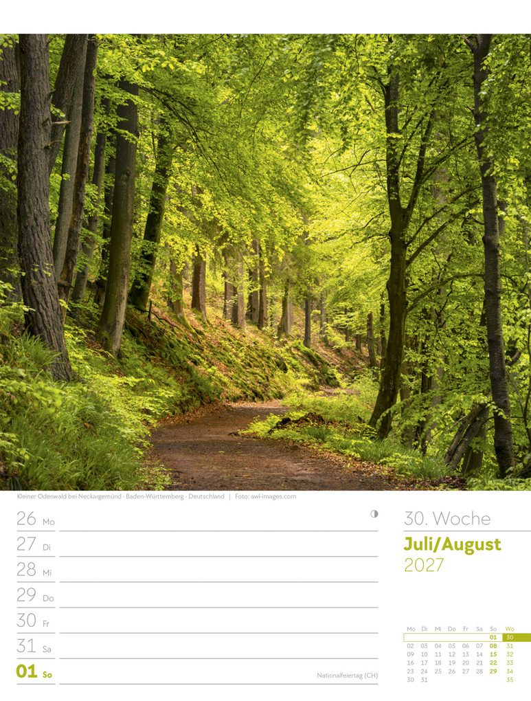 Weitere Ansicht: Unser Wald Wochenplaner Kalender 2027 | Ackermann Kunstverlag GmbH