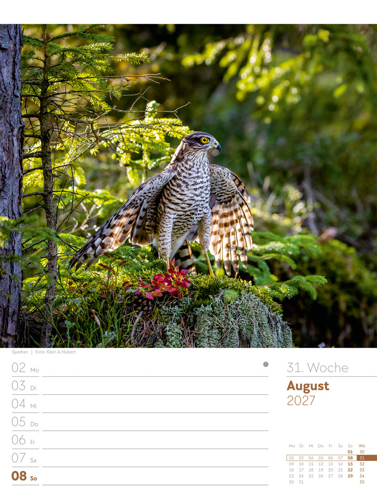 Weitere Ansicht: Unser Wald Wochenplaner Kalender 2027 | Ackermann Kunstverlag GmbH