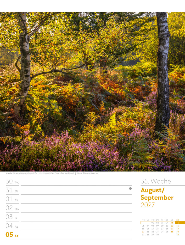 Weitere Ansicht: Unser Wald Wochenplaner Kalender 2027 | Ackermann Kunstverlag GmbH